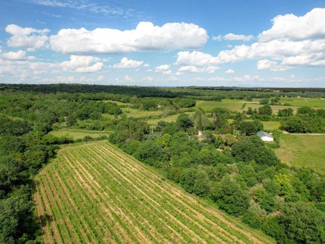 Au cœur d’un environnement naturel exceptionnel et préservé. 270m² Uzès