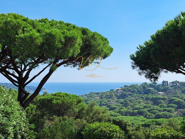 Au cœur de Gigaro