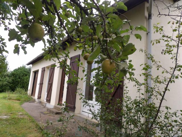 Au cœur de la Dordogne à Jumilhac Le Grand, belle maison et son joli terrain