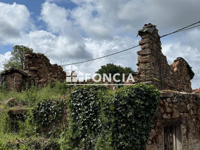 Au calme près de St Junien: terrain constructible avec deux ruines maison disposant d'un four à pains et grange disposant d'un puits