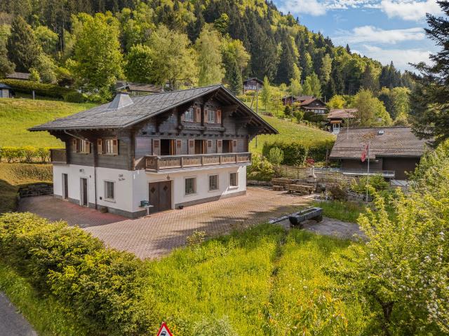 Au coeur des narcisses beau chalet de qualité avec grand atelier | dreamo. Ch