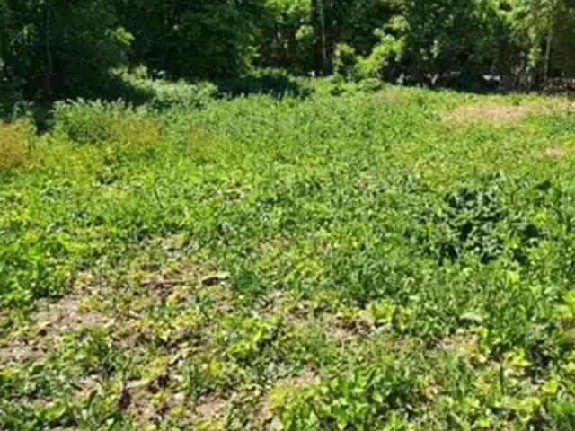 Aunay sous Auneau 28700 Programme neuf terrain neuf à vendre