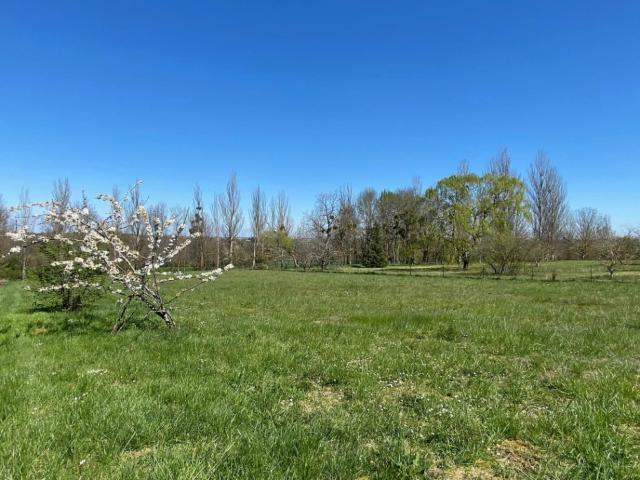 Auneau Vente Terrain 28