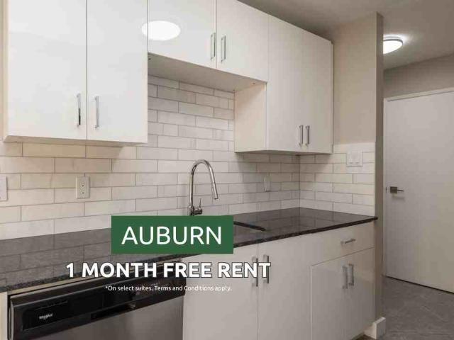 Auburn 1 Bedroom Apartment for Rent at 10322 117 St Nw, Edmonton, AB T5K 1X8 Oliver