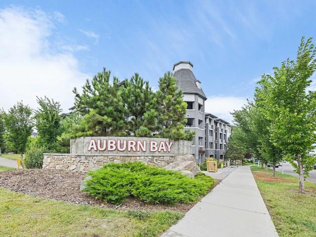 Auburn Bay cozy 1 bedroom with Underground Parking and Lake Access