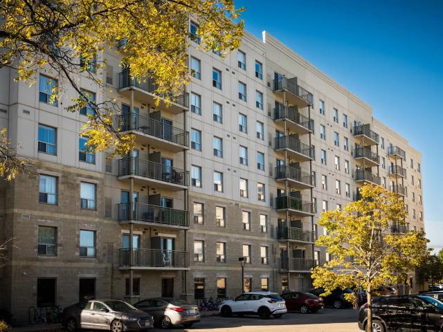 Auburn Terraces