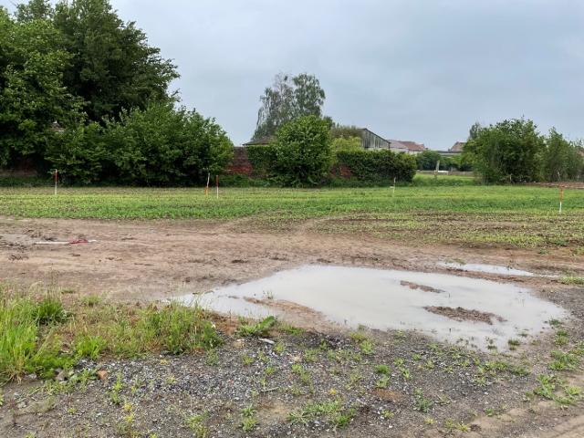 Auberchicourt Vente Terrain 59