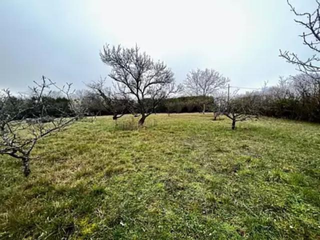 Aubergenville 78410 Achat / Vente terrain