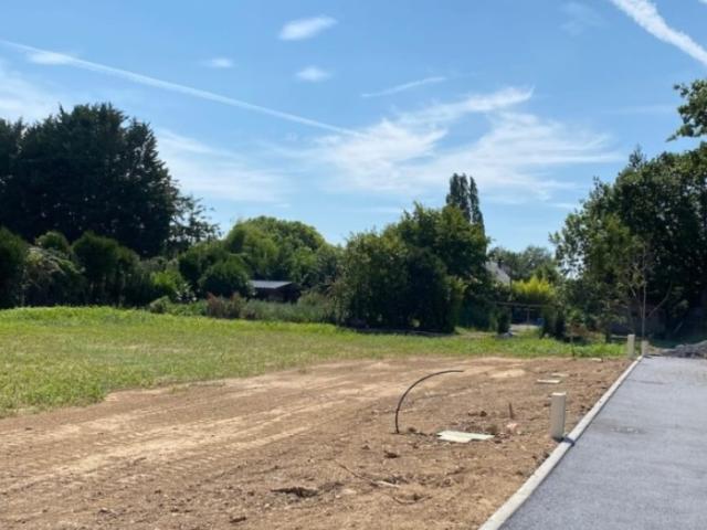 Auberville Vente Terrain 14