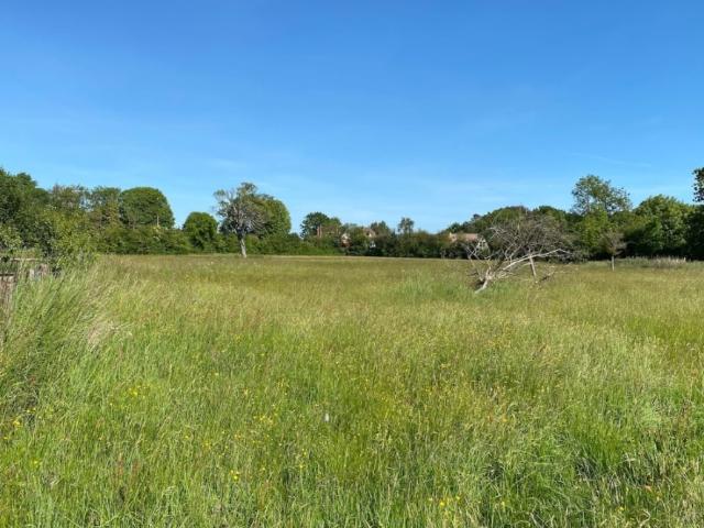 Auberville Vente Terrain 14