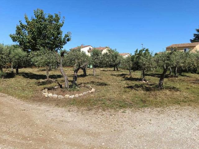 Aubignan Vente Terrain 84