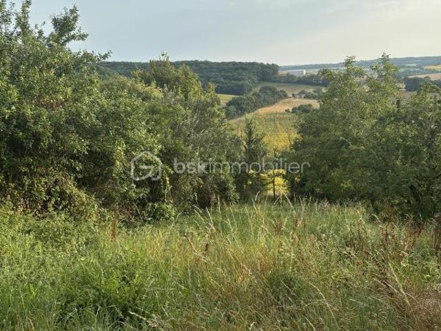 Auch Vente Terrain 32