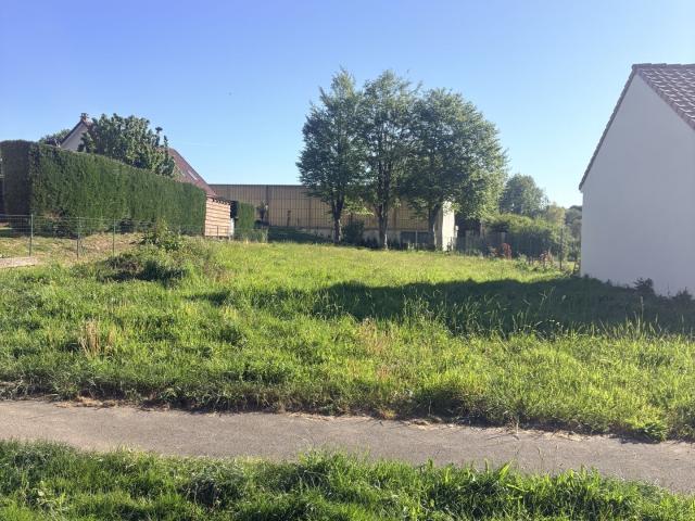 Auchy lès Hesdin Vente Terrain 62