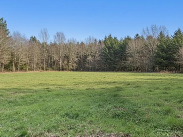 Audenge Vente Terrain 33