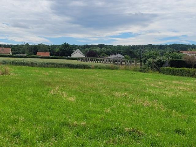 Audruicq Vente Terrain 62