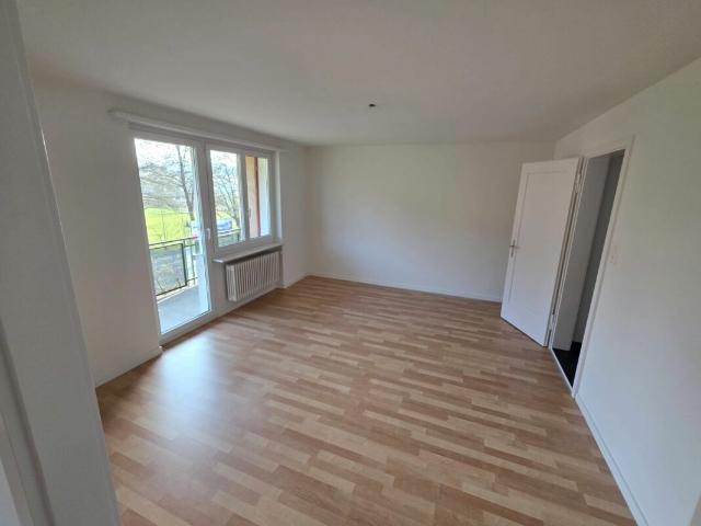 Aufgepasst! Ihr neues Lieblingszuhause in St. Gallen!
