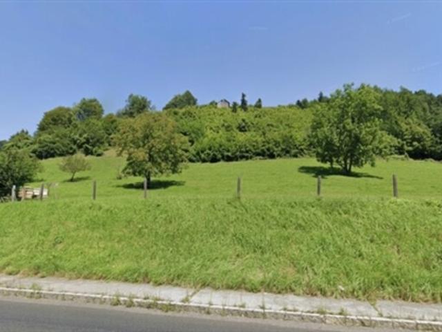 2 aufgeschlossene Bauparzellen + 10.662 m² Landwirtschaft – Dein eigenes Stück Freiheit in Losenstein