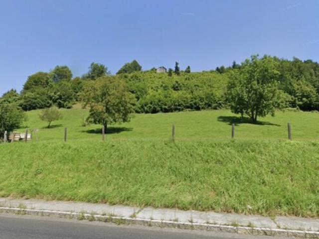 2 aufgeschlossene Bauparzellen + 10.662 m² Landwirtschaft – Dein eigenes Stück Freiheit in Losenstein