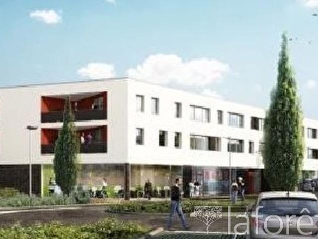 Aulnoy lez Valenciennes Location Appartement 59