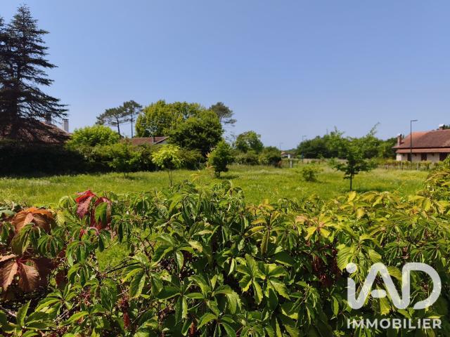 Aureilhan Vente Terrain 40