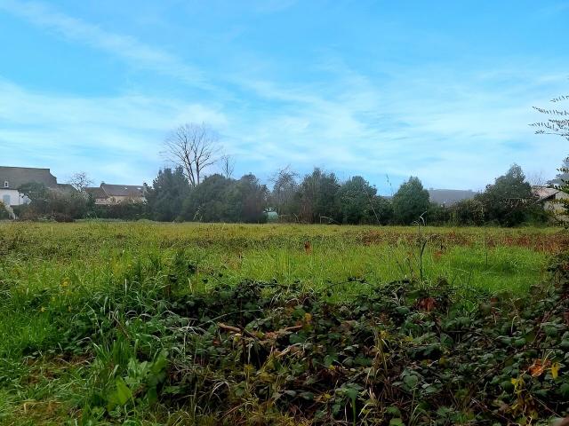 Aureilhan Vente Terrain 65