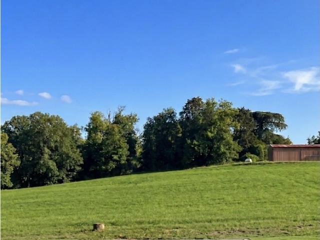 Aureville Vente Terrain 31