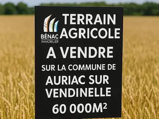 Auriac sur Vendinelle 31460 Achat / Vente terrain