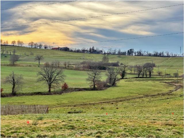 Aurillac Vente Terrain 15
