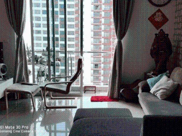 Austin Suite