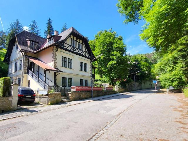 Außergewöhnliche Villa in absolut ruhiger Waldrandlage I Rund um Natur pur nahe Lainzer Tiergarten I Ausbauen+sanieren