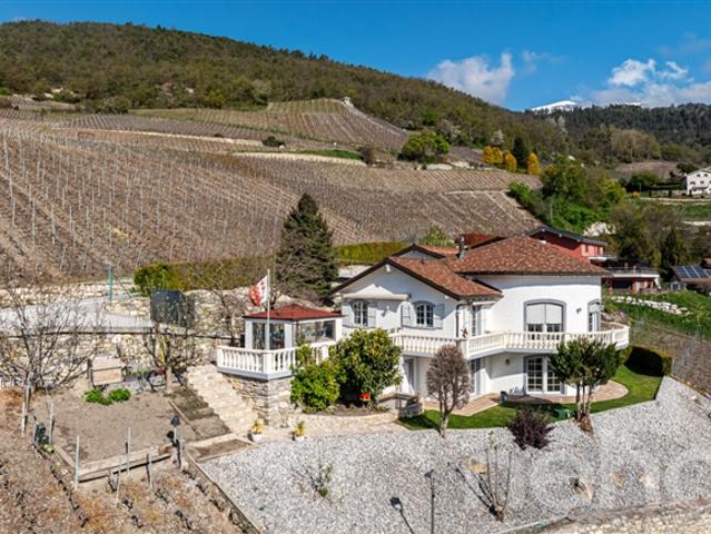 Außergewöhnliche Villa | Panoramablick | Ideale Belichtung | 3 Unterkünfte