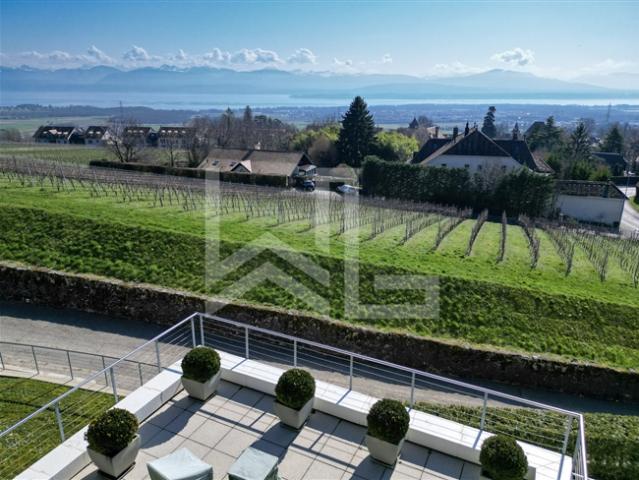 Außergewöhnliche zeitgenössische Villa mit spektakulärem Blick auf den See