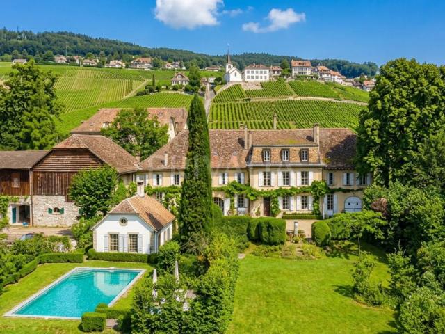 Außergewöhnliches Anwesen im Herzen der Weinberge