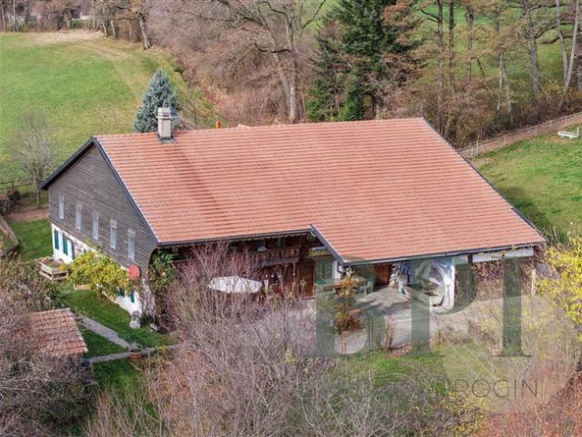 Aussergewöhnliches Bauernhaus in Romanens im Gruyère