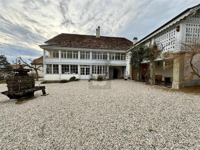 AUSSERGEWÖHNLICHES HERRENHAUS