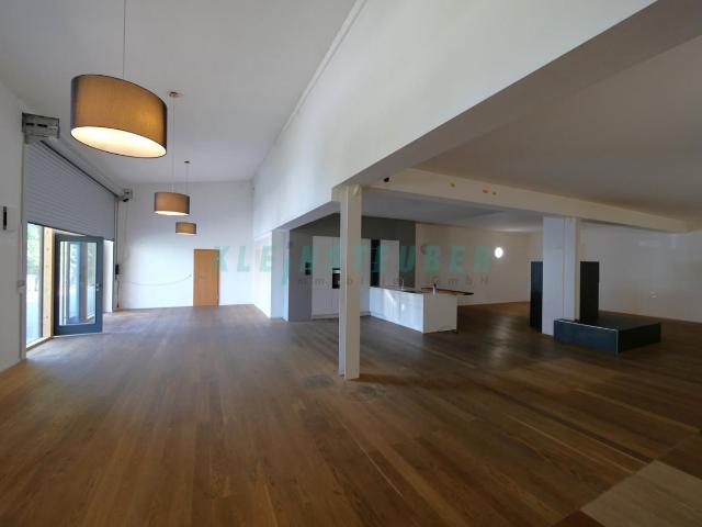 Ausstellungsfläche + Büro + Lager möglich
