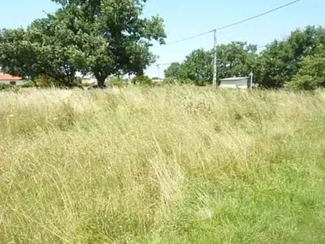 Aussonne 31840 Programme neuf terrain neuf à vendre
