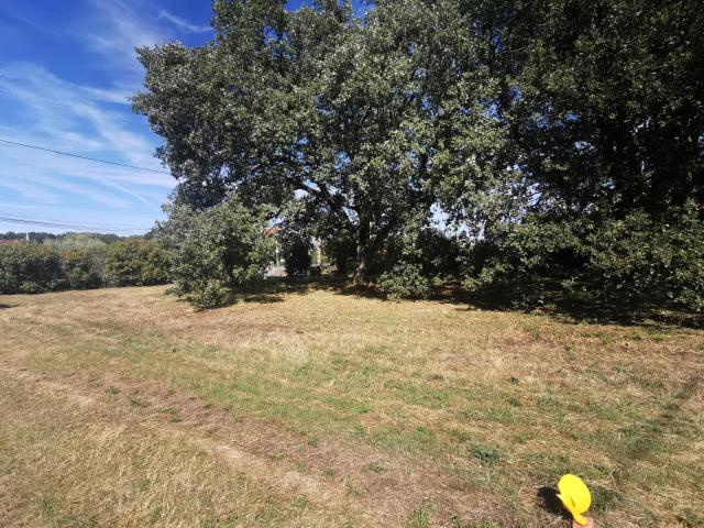 Aussonne Vente Terrain 31