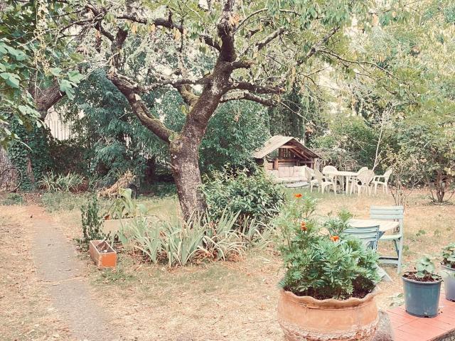 Auterive Location Appartement 31
