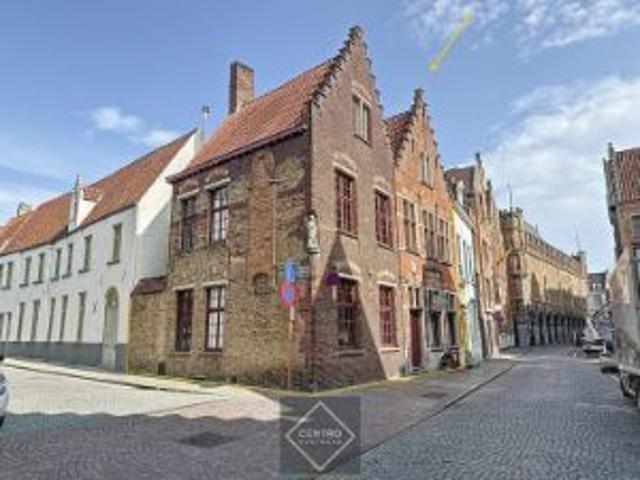 Authentiek, volledig onderkelderd HANDELSHUIS hoekliggin.