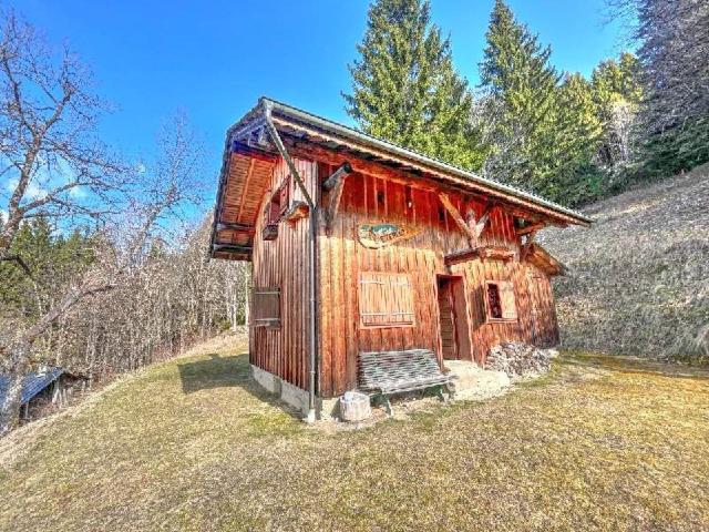 Authentique Chalet de Montagne Autonome à Vendre  Montriond 65m² Montriond