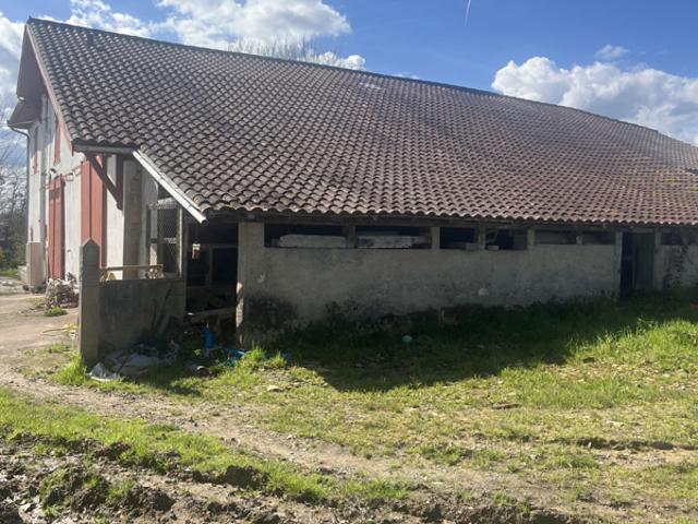 AUTHENTIQUE FERME