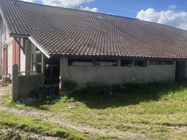 AUTHENTIQUE FERME