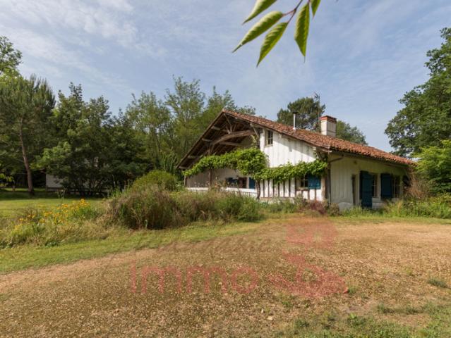 Authentique Maison Landaise de 1769 Coeur des Hautes Landes