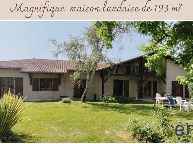 Authentique maison landaise de 193 m² sur un magnifique terrain arboré et entièrement clos de 2 000 m² à Saint Sever