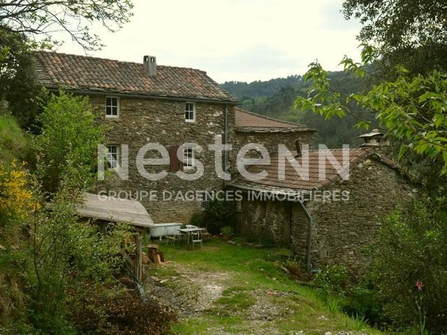 Authentique mas cévenol avec vue panoramique ? 3 logements e. 217m² Saint Etienne Vallée Française