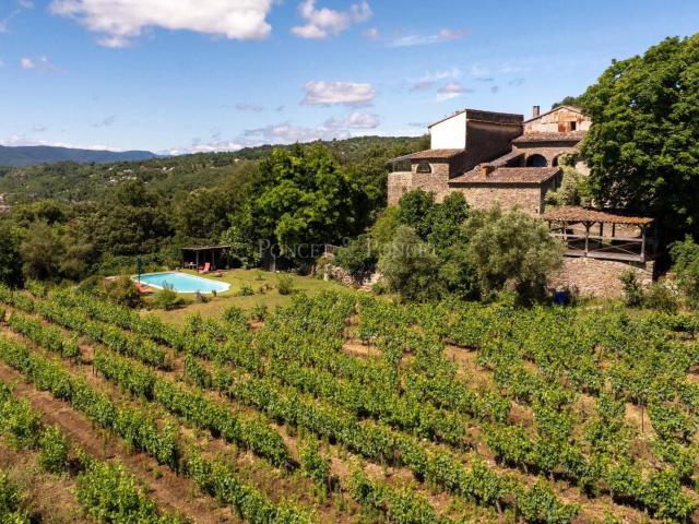 Authentique Mas en Pierres sur 55 ha dont 15 ha de vignes, avec