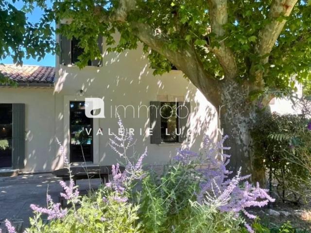Authentique Mas provençal rénové avec piscine