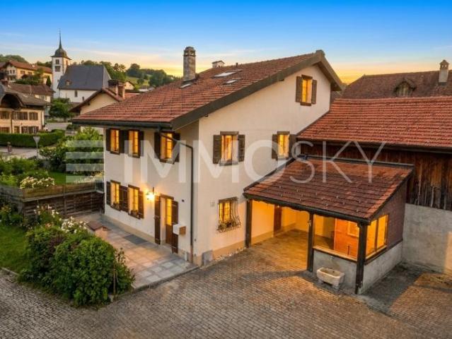 Authentischer Fribourg Kokon voller Charakter