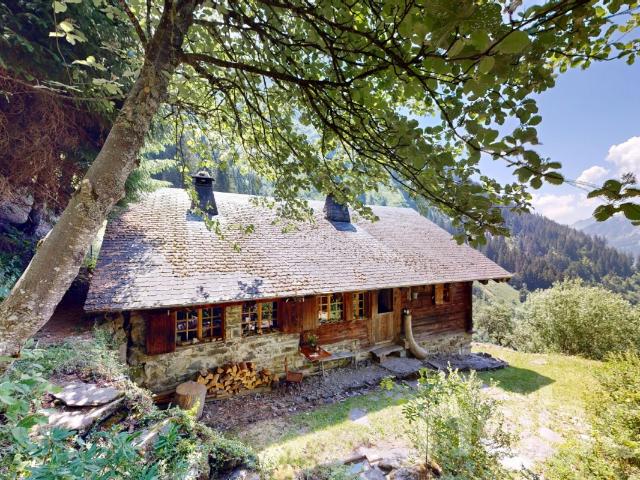 Authentisches Alpenchalet? Totale Entfremdung und alpiner Charme